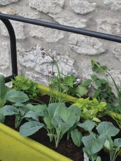 Vigoroot™ Self-Watering Easy Garden Planter 13 Vigoroot™ Self-Watering Easy Garden Planter -Flowerpot Discount Store 8609879 04V tif