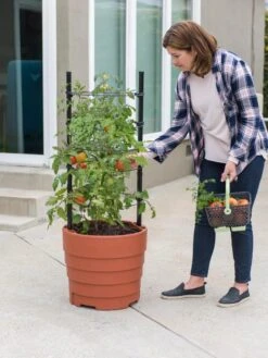 Gardener’s Victory Self-Watering Planter Garden Kit -Flowerpot Discount Store 8610239 06002 tif