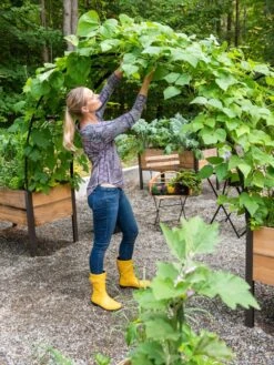 2’ X 8’ Arch Trellis For Planter Boxes -Flowerpot Discount Store 8610798 050 tif