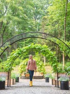 2’ X 8’ Arch Trellis For Planter Boxes -Flowerpot Discount Store 8610798 071 tif