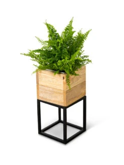 Tartu Elevated Square Planters -Flowerpot Discount Store 8611004 038