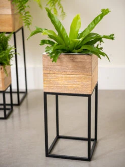 Tartu Elevated Square Planters -Flowerpot Discount Store 8611005 035