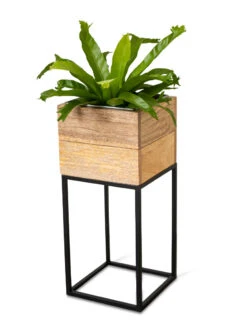 Tartu Elevated Square Planters -Flowerpot Discount Store 8611005 036