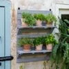 VegTrug® Herb Rack -Flowerpot Discount Store 8611930 6402 tif
