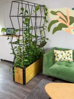 Self-Watering Partition Planter -Flowerpot Discount Store 8611952 001 tif