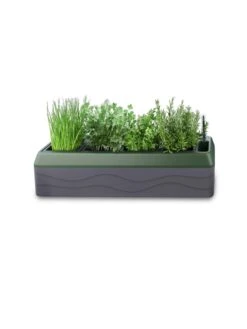 Provence Self-Watering Herb Planter 13 Provence Self-Watering Herb Planter -Flowerpot Discount Store 8611965 03V tif