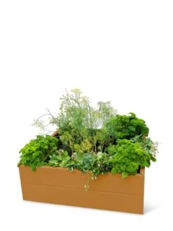 Somerset Metal Raised Beds, As Is -Flowerpot Discount Store 8612019 2003 tif