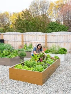 Somerset Metal Raised Beds, As Is -Flowerpot Discount Store 8612020 0014 tif