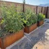 Nice Corten Trough Planters With Trellis -Flowerpot Discount Store 8612390 02V jpg