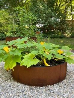 Birdies™ Corten Steel Round Raised Beds 11 Birdies™ Corten Steel Round Raised Beds -Flowerpot Discount Store 8612422 0484 tif