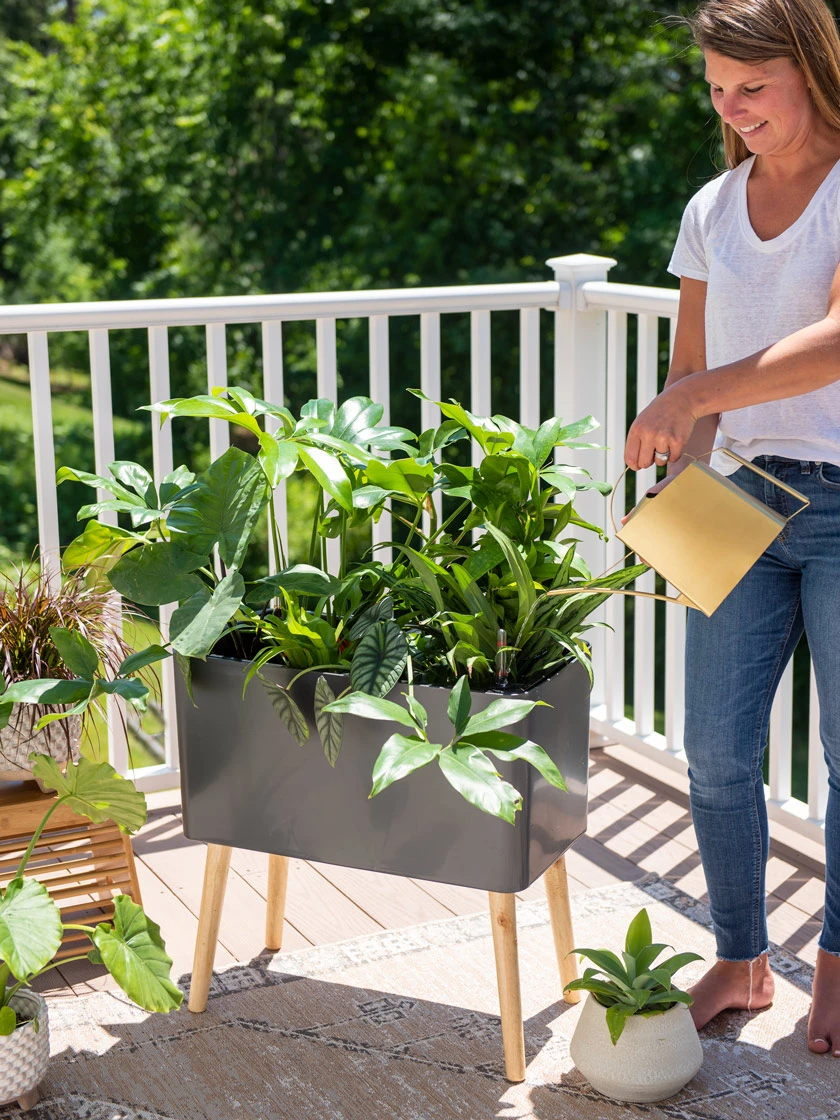 Ava Self-Watering Rectangular Planter 5 Ava Self-Watering Rectangular Planter - Image 3