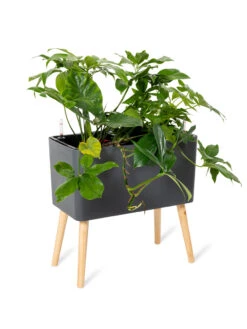 Ava Self-Watering Rectangular Planter 14 Ava Self-Watering Rectangular Planter -Flowerpot Discount Store 8612691 0013