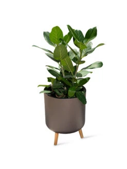 Ava Self-Watering Round Planter -Flowerpot Discount Store 8612692 0003