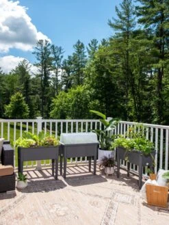 Self-Watering Standing Salad Planter With Cloche -Flowerpot Discount Store 8612702 2002 tif