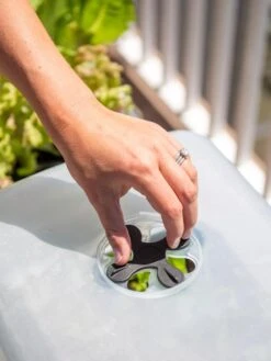 Self-Watering Standing Salad Planter With Cloche -Flowerpot Discount Store 8612702 2034 tif