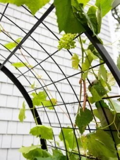 2’ X 4’ Arch Trellis For Planter Boxes -Flowerpot Discount Store 8612976 0436