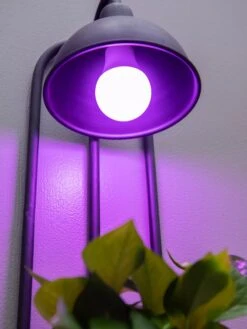 Kira Grow Light Hanging Planter -Flowerpot Discount Store 8613232 5663