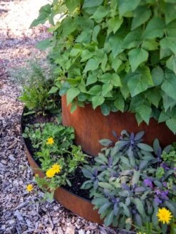 Birdies™ Corten Steel Tiered Round Raised Bed Kit, Tall 8 Birdies™ Corten Steel Tiered Round Raised Bed Kit, Tall -Flowerpot Discount Store 8613245 0195