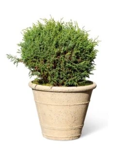 Self-Watering LavaStone® Anson Pot -Flowerpot Discount Store 8613255 0150