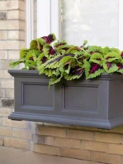 Fairfield Self-Watering Window Box, 2’ -Flowerpot Discount Store 8613268 08V tif