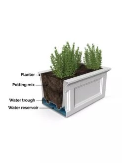 Fairfield Self-Watering Elevated Garden Bed 17 Fairfield Self-Watering Elevated Garden Bed -Flowerpot Discount Store 8613283 07V 3 4