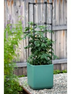 Oasis Self-Watering Tomato Planter With Trellis 16 Oasis Self-Watering Tomato Planter With Trellis -Flowerpot Discount Store 8613440 0373 3 4
