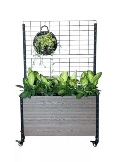 Mobile Deep Trough Planter With Trellis 9 Mobile Deep Trough Planter With Trellis -Flowerpot Discount Store 8614265 03V