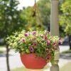 Self-Watering Hanging Basket -Flowerpot Discount Store GS34368 10 tif