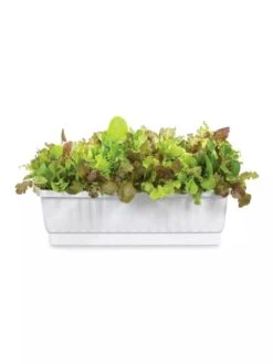 31" Self-Watering Window Box 7 31" Self-Watering Window Box -Flowerpot Discount Store GS36523 01Z 3 4