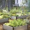 Sustainable Raised Beds -Flowerpot Discount Store GS38653 02 tif