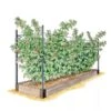 Raspberry Bed -Flowerpot Discount Store GS39389 01S 1