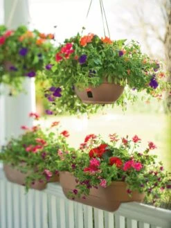 Flowerpot Discount Store -Flowerpot Discount Store GSCOVFAL09D1 01 1
