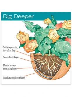 AquaSav™ Replacement Liners, Set Of 3 -Flowerpot Discount Store hiw 38 583