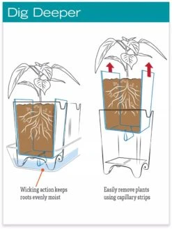 Stoneware Self-Watering Windowsill Planters, Set Of 2 -Flowerpot Discount Store hiw 8593943 jpg