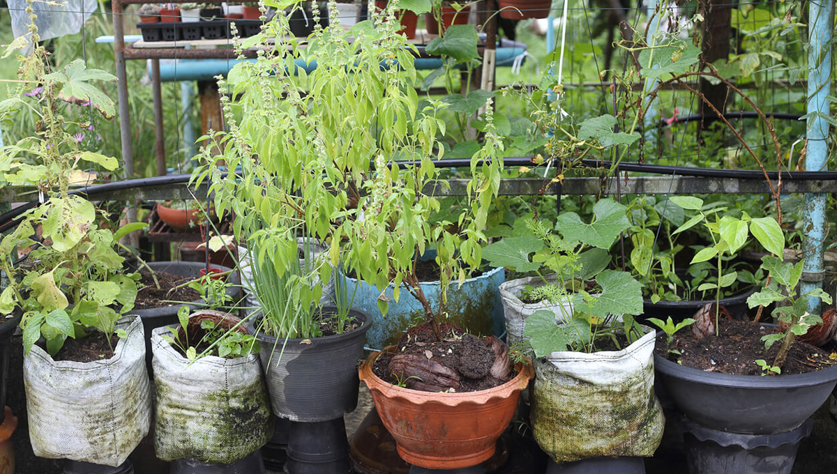 Flowerpot Discount Store -Flowerpot Discount Store 3